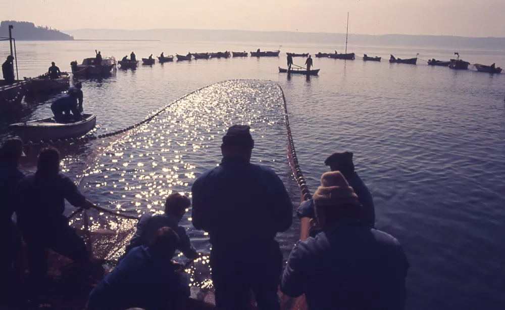 tradicionalni lov na ciplje - Zora Žagar, Pomorski muzej Piran / Foto: Arhiv Pomorskega Muzeja Piran
