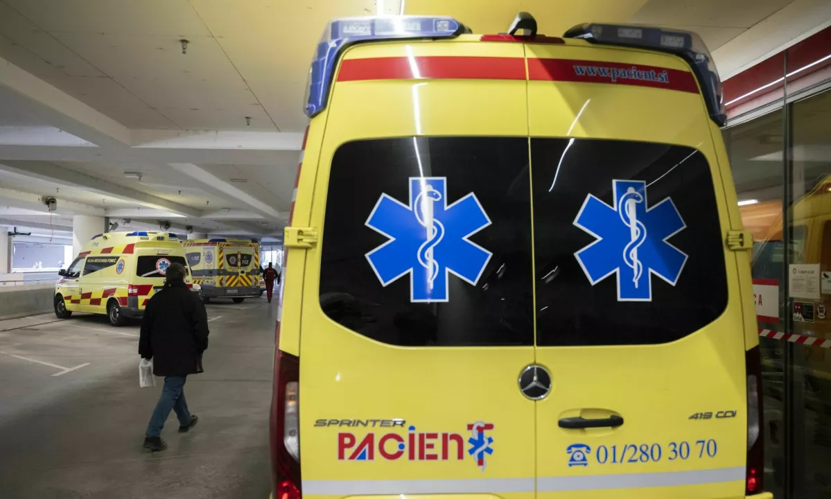 Na dolenjski avtocesti avto trčil v konja, ena oseba ukleščena