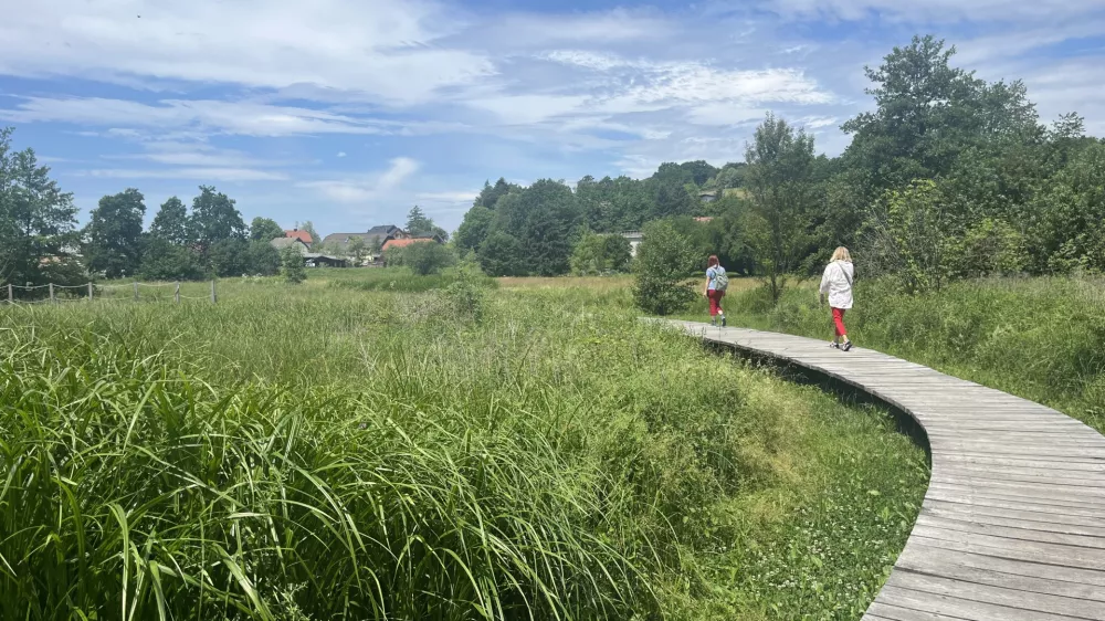 &Scaron;kofljica in Lavrica