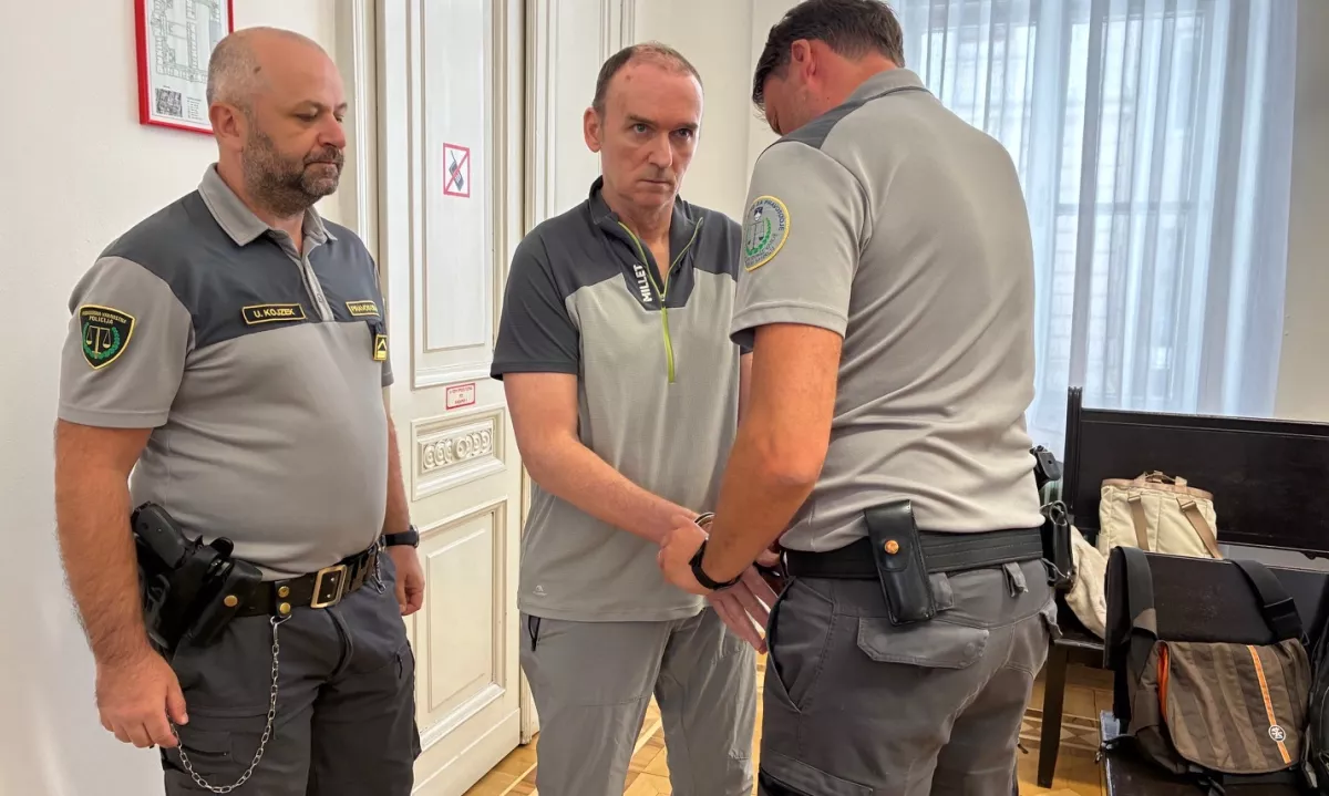 Zabodel svojo “energetsko svetovalko”: psiček ji je lizal rane