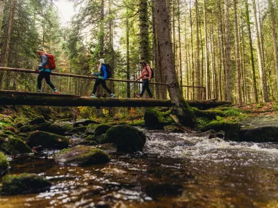 Pohorje - Kozak Trail / Foto: Matic Ritonja