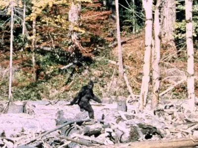Prizor iz filma Patterson-Gimlin, za katerega sta avtorja vztrajala, da je resničen, vendar pa niso vsi prepričani, da je res tako.