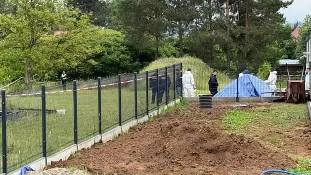 Poljska preiskava