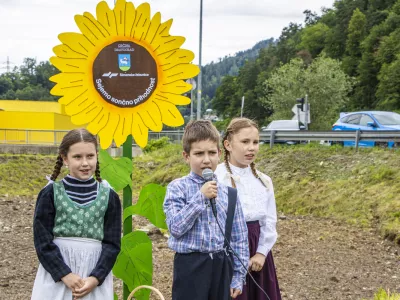 Slovenske železnice, sončnice, Dravograd, Velenje, koro&scaron;ka železni&scaron;ka proga. Foto: SŽ
