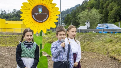 Slovenske železnice, sončnice, Dravograd, Velenje, koro&scaron;ka železni&scaron;ka proga. Foto: SŽ