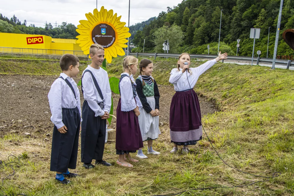 Slovenske železnice, sončnice, Dravograd, Velenje, koro&scaron;ka železni&scaron;ka proga. Foto: SŽ