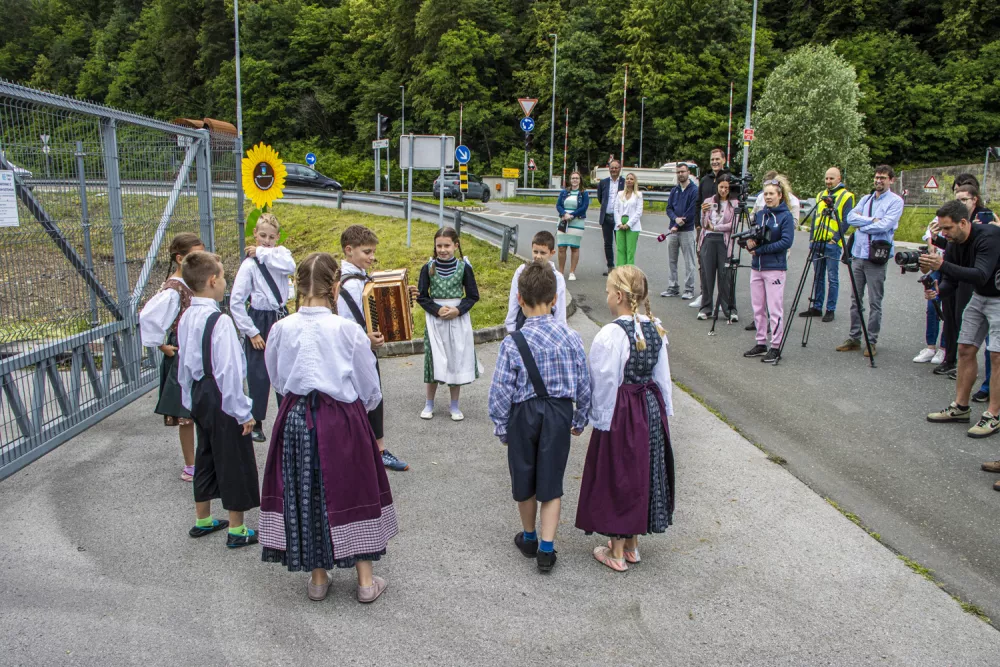Slovenske železnice, sončnice, Dravograd, Velenje, koro&scaron;ka železni&scaron;ka proga. Foto: SŽ