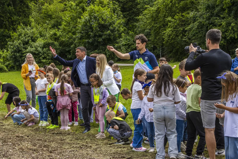 Slovenske železnice, sončnice, Dravograd, Velenje, koro&scaron;ka železni&scaron;ka proga. Foto: SŽ