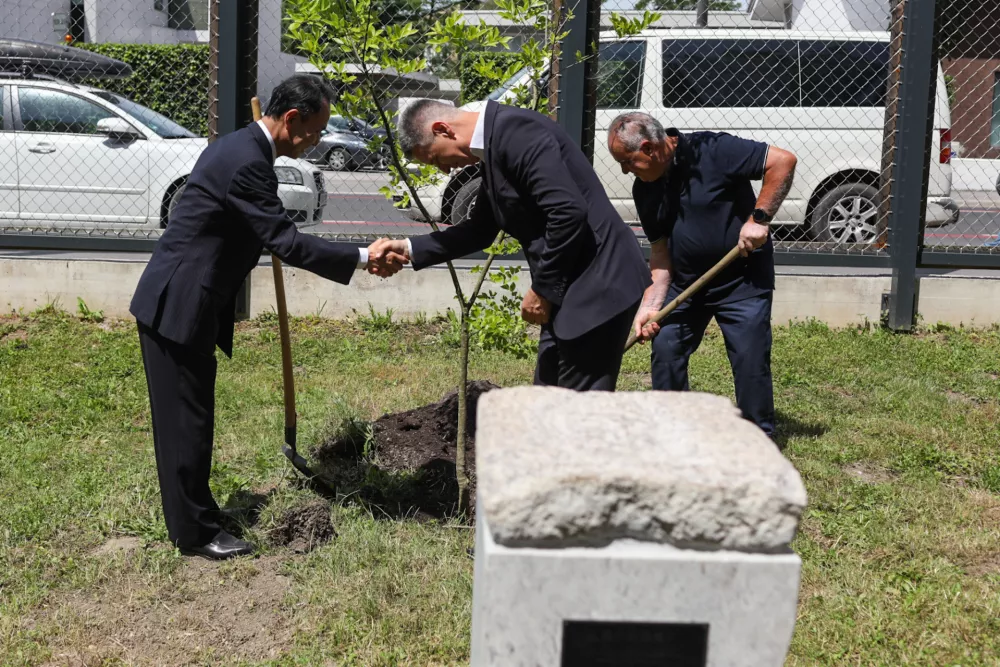 17.06.2026. Kamen miru. Botanični vrt. Foto: Bojan Velikonja