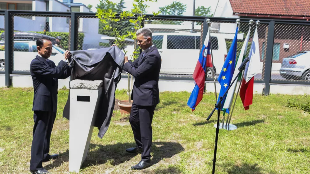 17.06.2026. Kamen miru. Botanični vrt. Foto: Bojan Velikonja