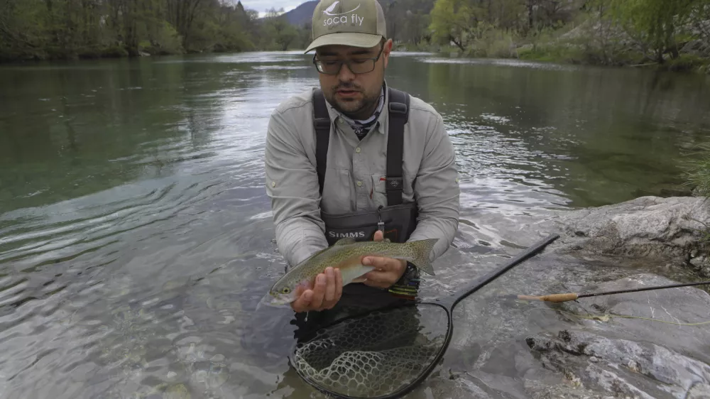 Soča in jadranske reke pri vrhu, najslab&scaron;e Mura, Sava, Drava &hellip; Kakovost voda v Sloveniji pada