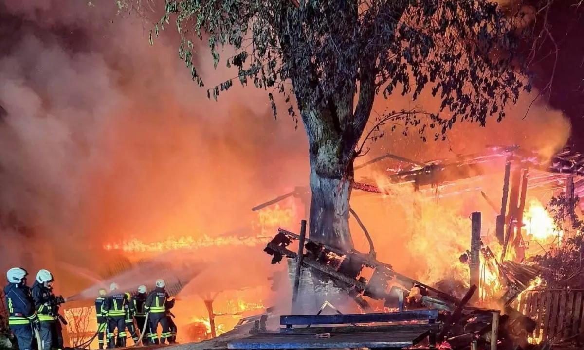 »Brez vas ne bi mogli vstati iz pepela«: strela jim je vzela vse, razen ljubezni do rodne grude