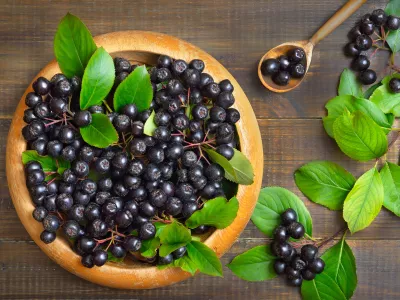 Fresh black chokeberry on wooden plate. Top view, flat lay / Foto: Nadezhda_nesterova