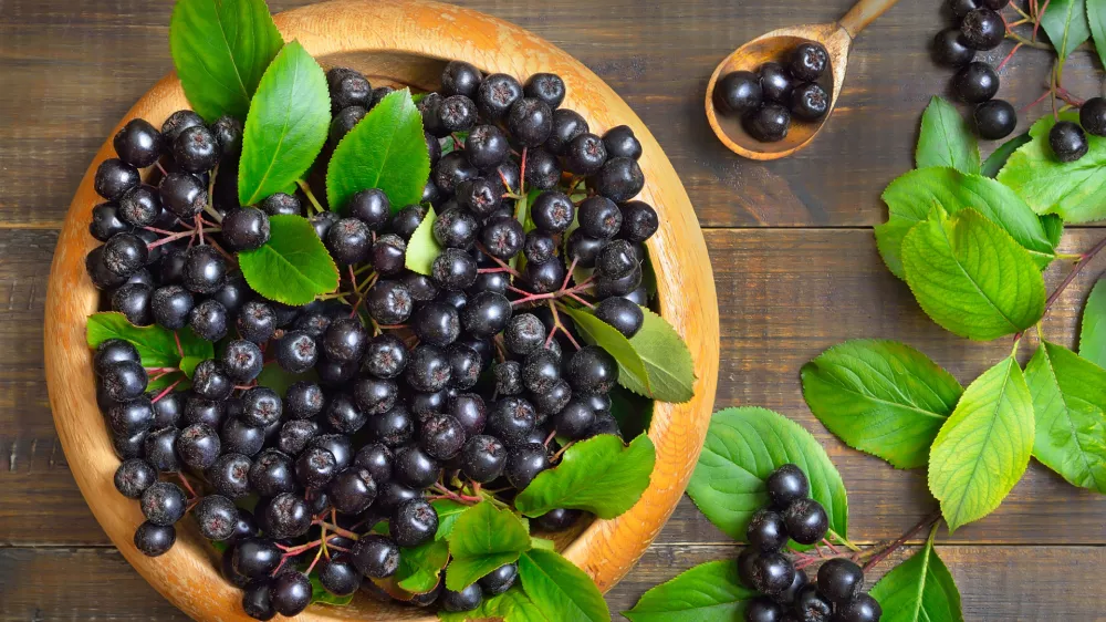 Fresh black chokeberry on wooden plate. Top view, flat lay / Foto: Nadezhda_nesterova