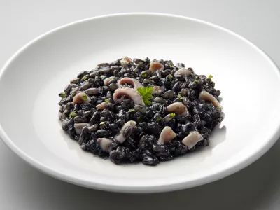 Dish of risotto with squid ink isolated on grey plane / Foto: Antoniotruzzi