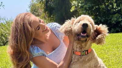 Charlie: kuža, ki je našel svoj srečni konec / Foto: Ig