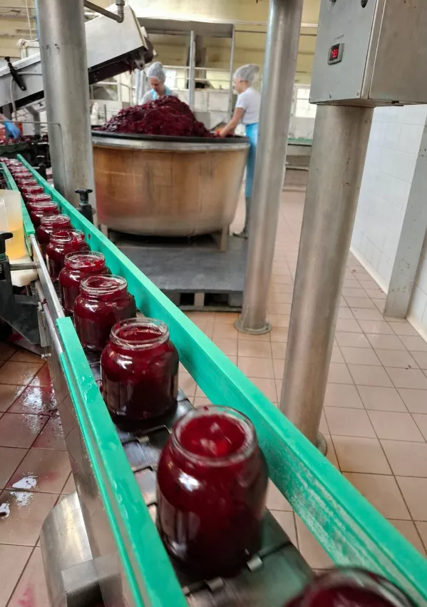 Proizvodnja rdeče pese v Eta Kamnik. / Foto: Eta Kamnik