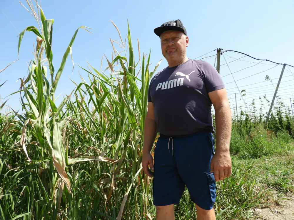 Damijan Četina kmetija Flis / Foto: Katja Petrovec