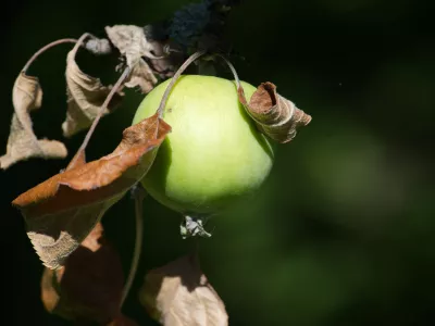 Slika je simbolična. / Foto: Istock