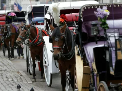 FILE - Horses and carriages wait for customers on Oct. 23, 2013, near Central Park in New York. (AP Photo/Seth Wenig, File)