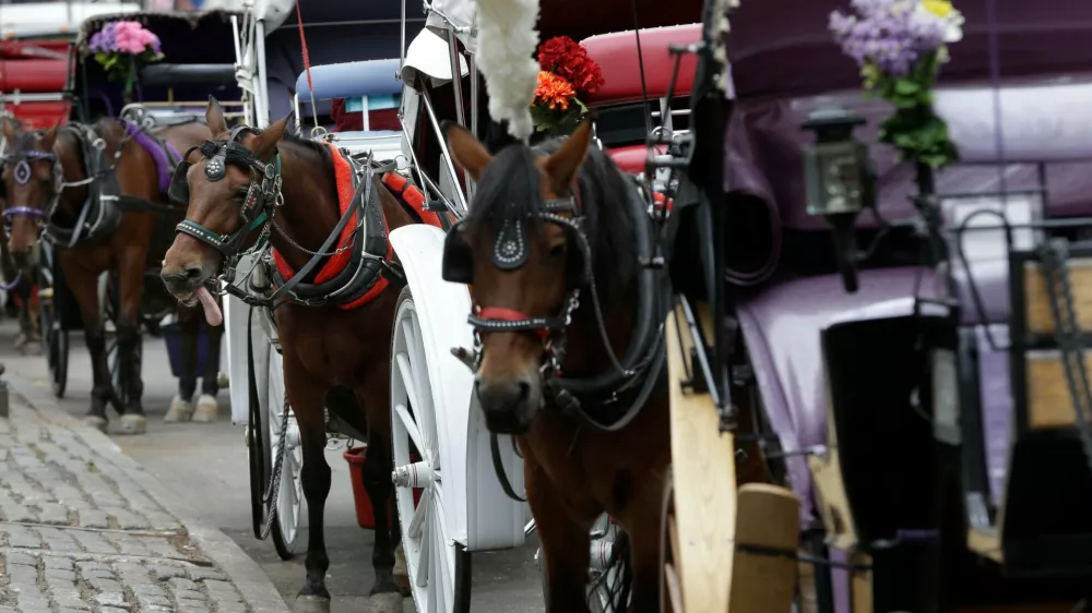 FILE - Horses and carriages wait for customers on Oct. 23, 2013, near Central Park in New York. (AP Photo/Seth Wenig, File)