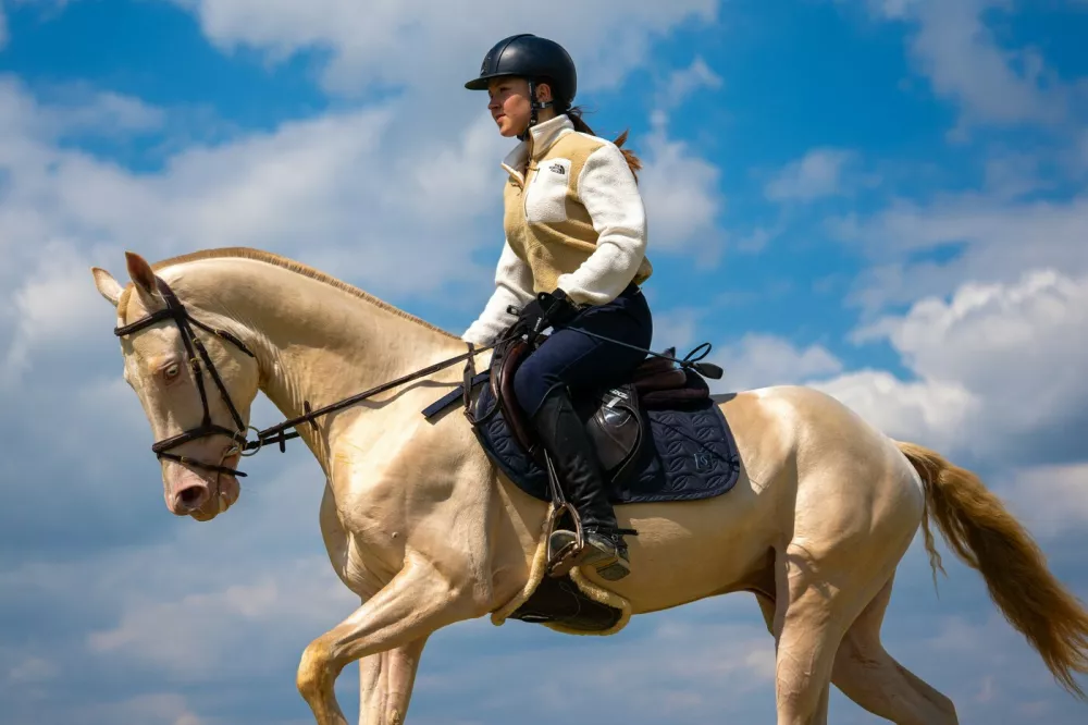 ANKARA, TURKIYE - MAY 7: A girl rides an Akhal Teke horse, one of Central Asia's ancient breeds known for their speed, endurance, intelligence, and distinctive metallic sheen, are being bred at a farm in Ankara to preserve their lineage in Ankara, Turkiye, on May 7, 2026. Considered part of Turkmenistan's living cultural heritage, they are trained in disciplines such as show jumping, endurance riding, mounted archery, and cross-country riding. Once favored by rulers and commanders throughout history, Ahal Tekes are admired for their long, slender necks, athletic build, elegant posture, and striking metallic appearance. Purebred horses are sold for prices ranging from $50,000 to $150,000 depending on their pedigree and training level. Omer Taha Cetin / Anadolu/ABACAPRESS.COM,Image: 1110998922, License: Rights-managed, Restrictions:, Model Release: no 