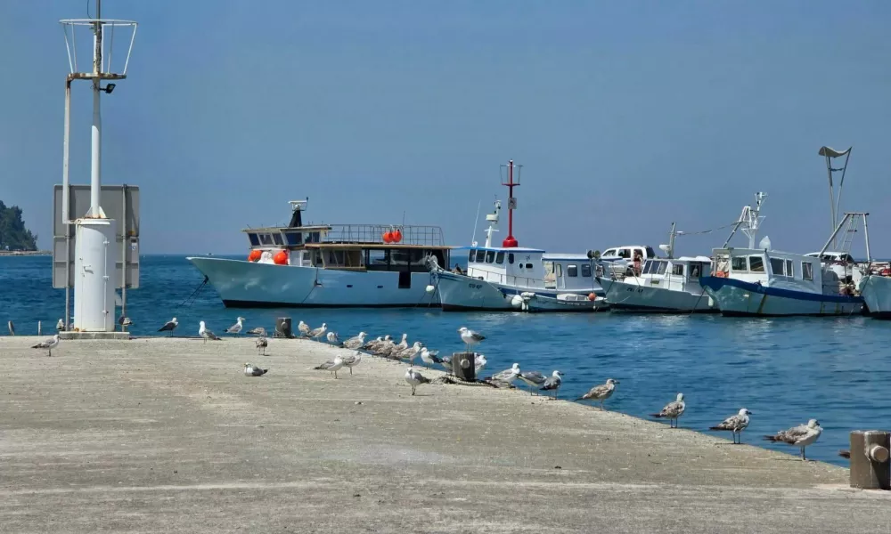 Vročina v Kopru: Foto: Katja Gle&scaron;čič