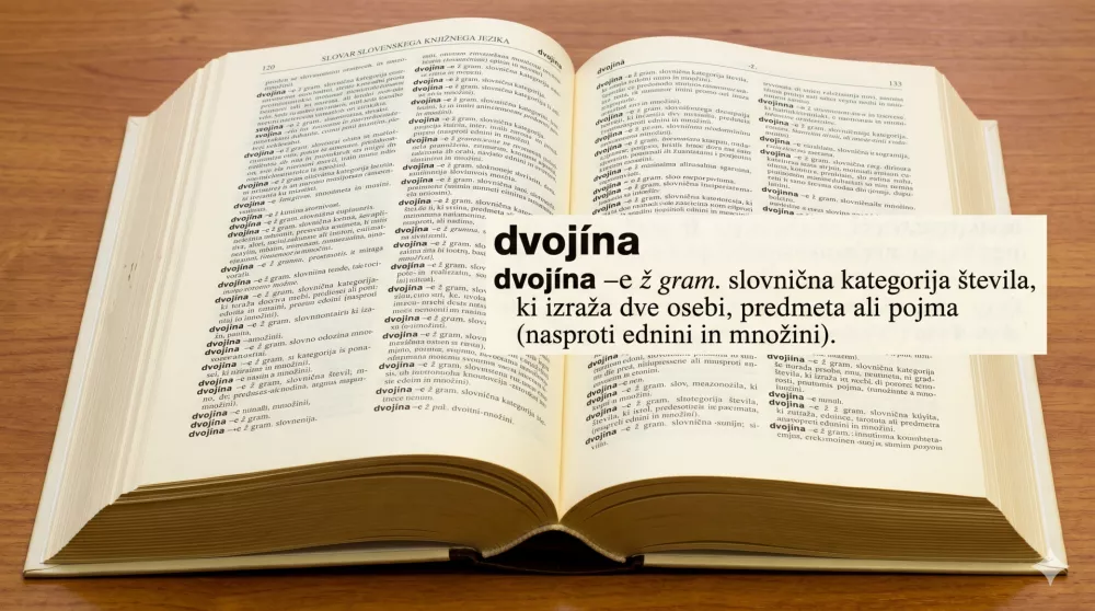 Ilustracija pomena dvojine / Foto: Istock