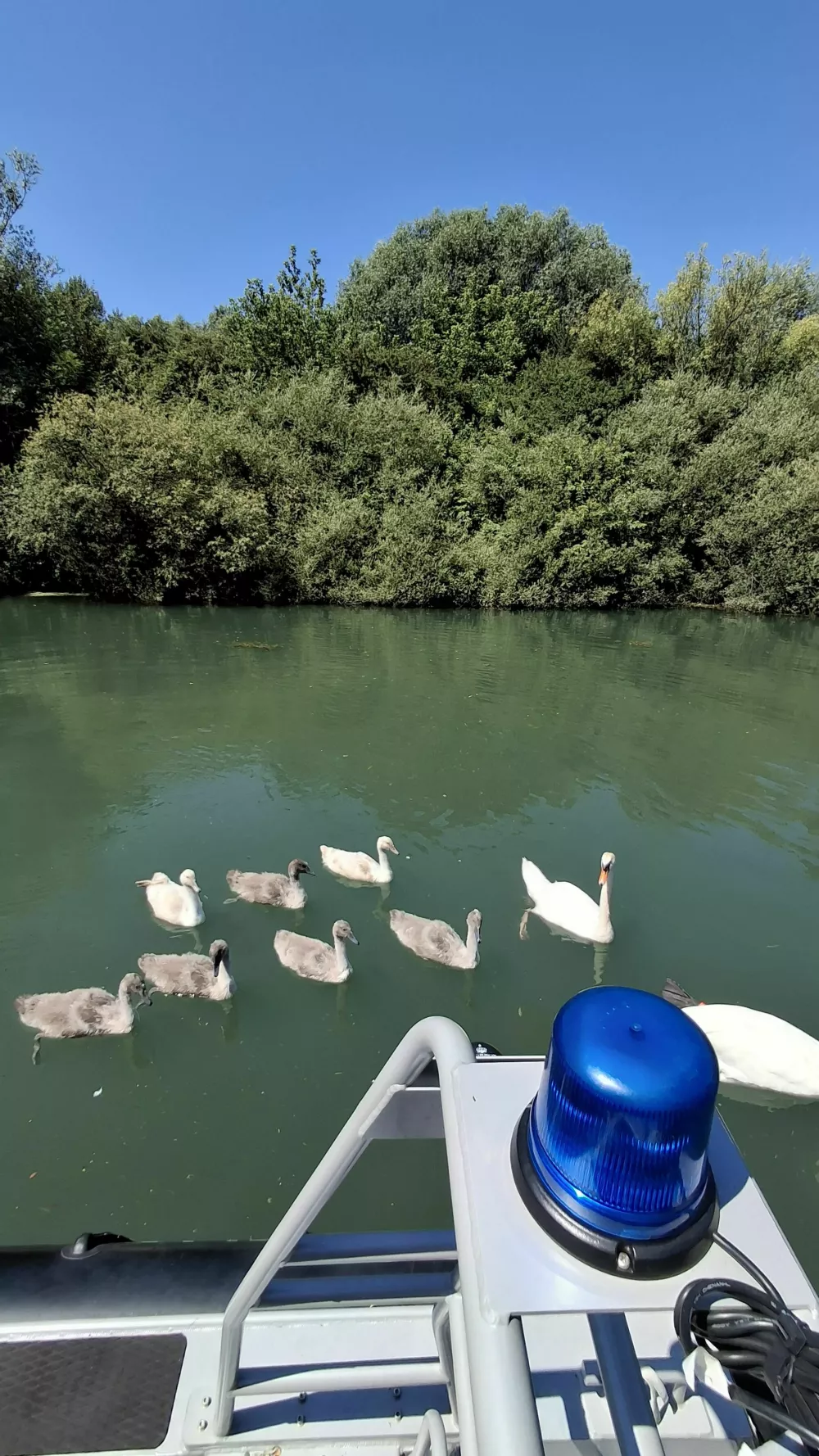 Policisti so opravljali rečni nadzor na Ljubljanici. 