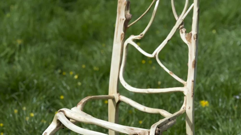 TO GO WITH FEATURE BY ROBIN MILLARDA prototype chair, grown and shaped by artist and furniture maker Gavin Munro, is pictured at his 'Full Grown' plantation site near Wirksworth, central England, on April 28, 2015. Deep in the English countryside, there's a bizarre sight: rows of trees being grown into upside-down chairs, slowly taking shape over years of careful nurturing. Around 150 armchairs, 100 lampshades and other items including mirror frames are being grown out of the ground in a highly unusual adventure in furniture design. The brainchild of Gavin Munro, his Full Grown company has produced some early prototypes, with each item one solid, joinless piece of wood.,Image: 246275636, License: Rights-managed, Restrictions: TO GO WITH FEATURE BY ROBIN MILLARD, Model Release: no 