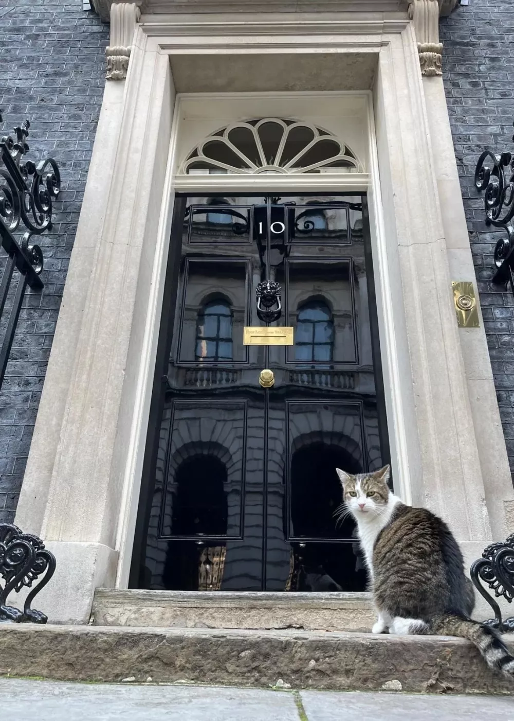 Larry The Cat