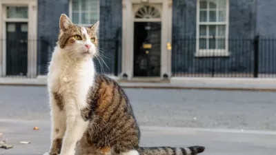 Larry The Cat