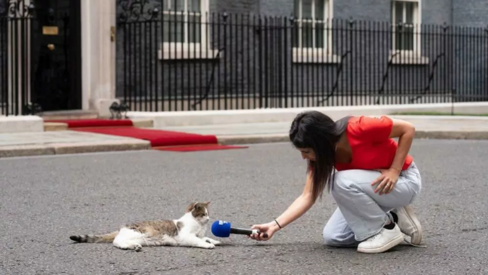 Larry The Cat