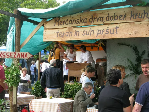 zmagovalna osmica sežana
