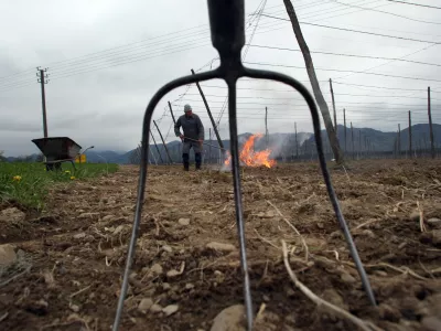 Savinjska dolina - kmetovanje - polje - pridelava hmelja - hmeljarstvo (hmelj) - kurjenje žetvenih ostankov - vrtno orodje - vile - kmetijsko zemlji&scaron;če//FOTO: Jaka Gasar / Foto: Jaka Gasar