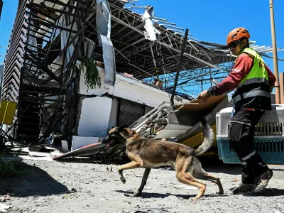 A rescue worker uses search-and-rescue dog to look for trapped people at a collapsed grocery store a day after the magnitude 7.8 quake in Calumpang, General Santos, southern Philippines, June 9, 2026. REUTERS/Noel Celis