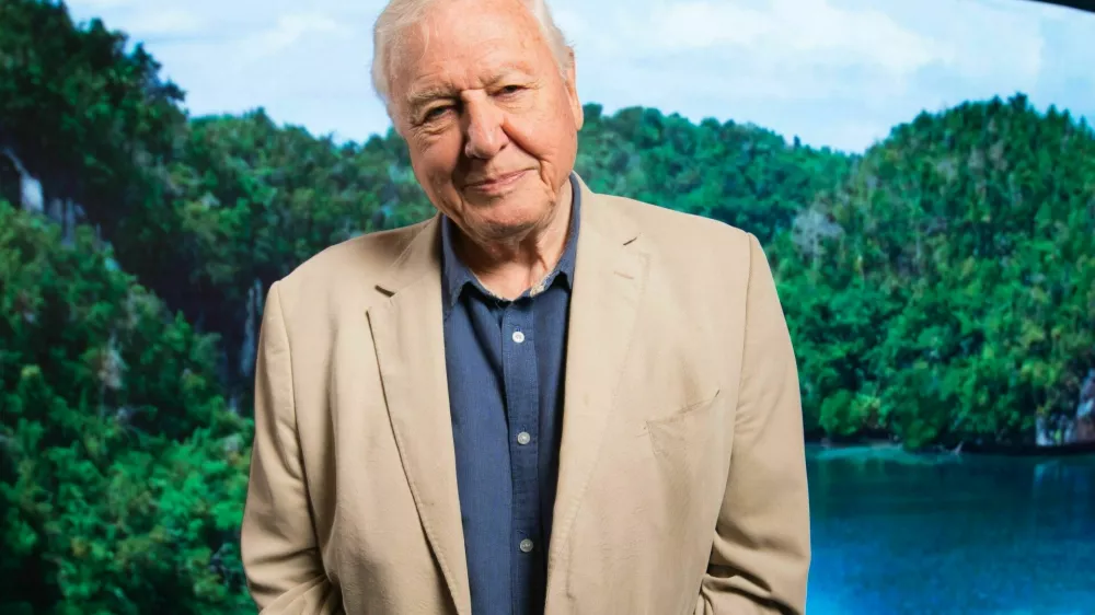 EMBARGOED TO 0001 WEDNESDAY SEPTEMBER 30 File photo dated 7/10/2019 of Sir David Attenborough. Countries are being urged to commit hundreds of billions of pounds in funding to protect nature in a global campaign backed by Sir David. Conservation organisation Fauna and Flora International (FFI) is launching the Our One Home campaign, calling on governments and businesses to prioritise protection and restoration of nature and wildlife.,Image: 560471603, License: Rights-managed, Restrictions: FILE PHOTO, Model Release: no