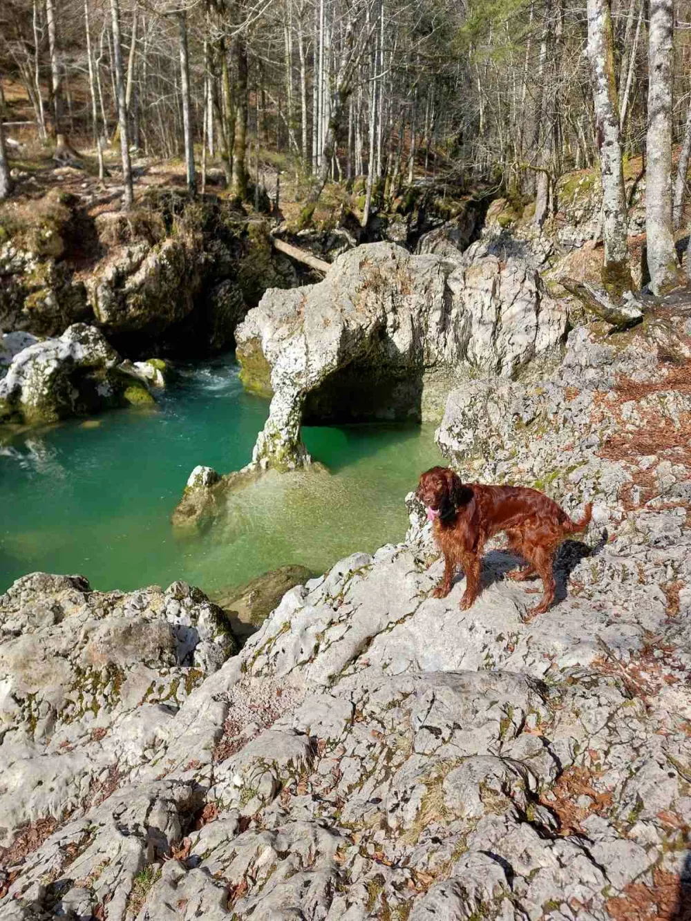 &raquo;Slonček&laquo; &ndash; skala, ki iz določenega kota presenetljivo spominja na slona, sklonjenega k vodi.