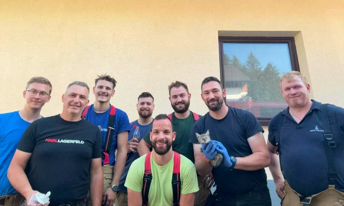 »Veliko raje rešujemo prestrašenega mucka, kot odhajamo na tragedije«