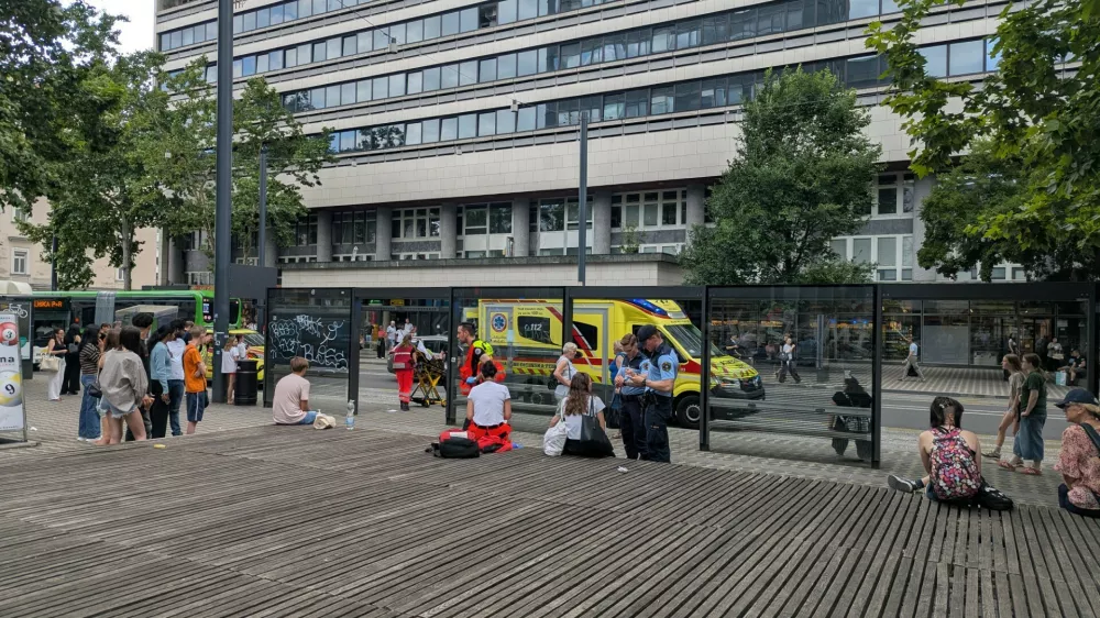 Dogajanje na Bavarskem dvoru. Foto: Dnevnik