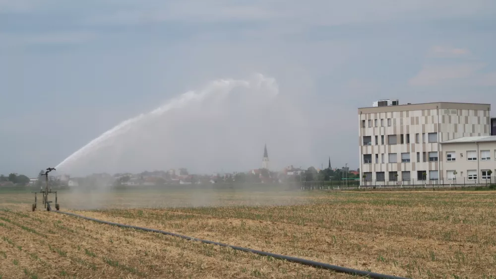 kmetijstvo, namakalni sistem, namakanje. Foto: Tatjana Pihlar 