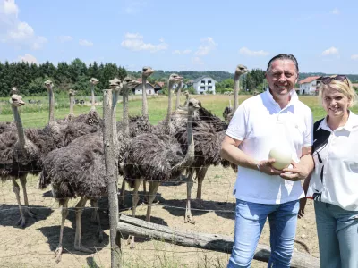- 23.06.2026 - Modri vrat - nojerejstvo, noj, noji - Vinko in Barbara//FOTO: Jaka Gasar