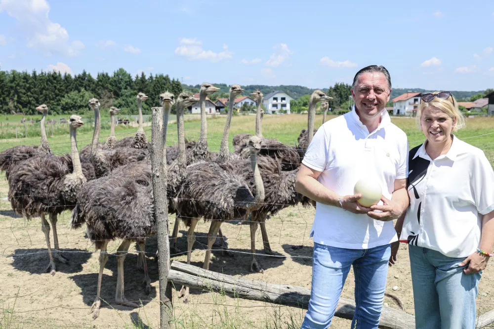 - 23.06.2026 - Modri vrat - nojerejstvo, noj, noji - Vinko in Barbara//FOTO: Jaka Gasar