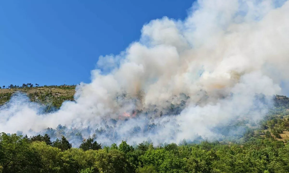 Gori v Brestovici pri Komnu in nad Brnetiči