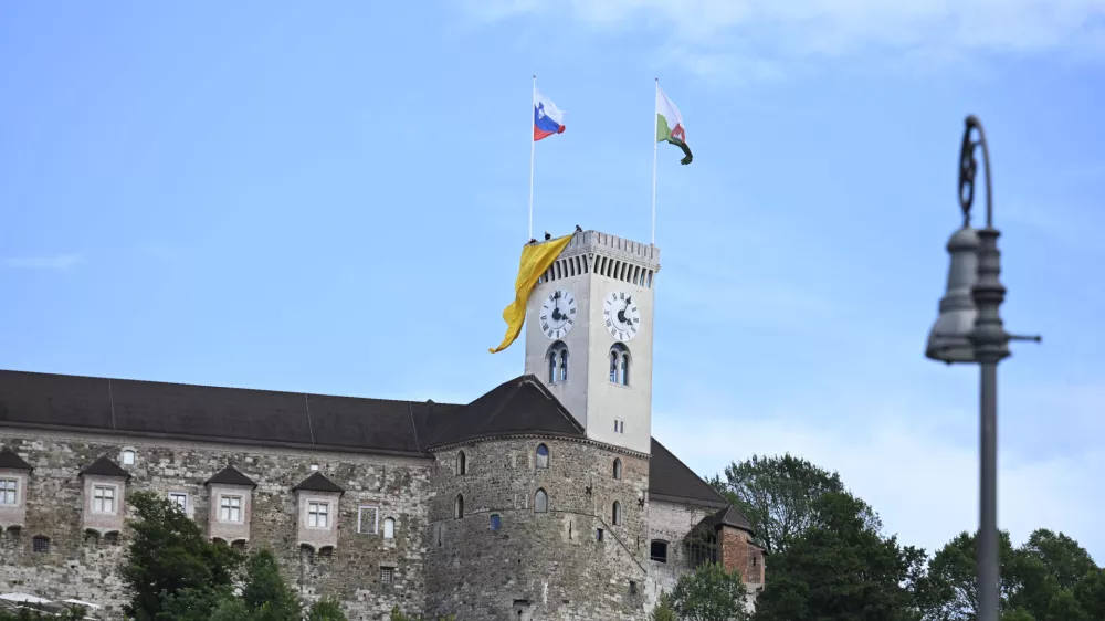 06.07.2026 referendum v LJ: spust rumene parkiri&scaron;čne zastave - CILJ - Pokažimo županu rumeni kartonfoto: Nik Erik Neubauer