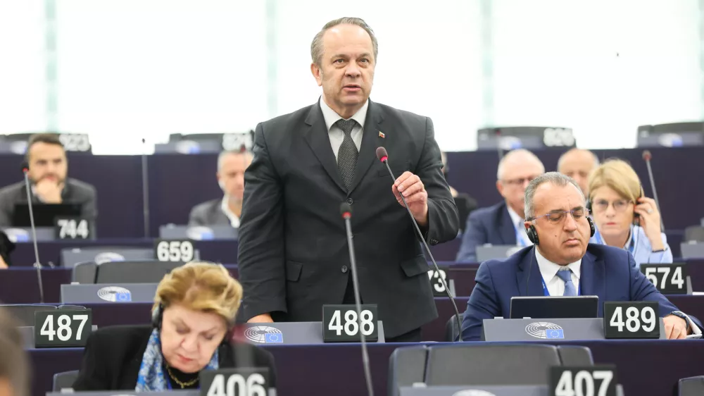 Branko Grims, evropski poslanec