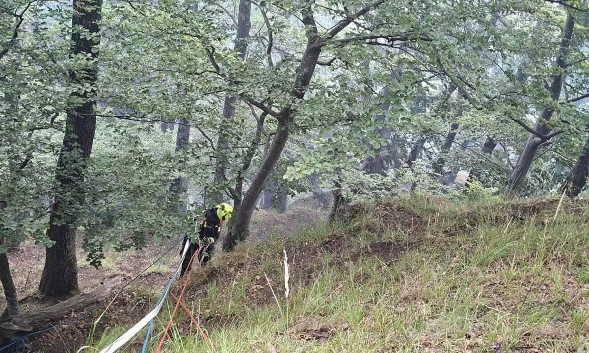 Okolico Slovenske Bistrice zajel obsežen požar