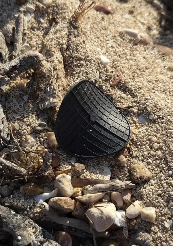 plo&scaron;ček jadransko morje raziskava onesnaženje / Foto: Instagram Archeoplastica