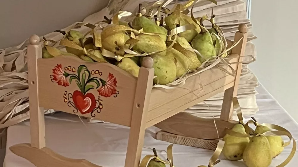 Pionirska je nagrado prejela za projekt Znak zlata hru&scaron;ka (The Golden Pear Quality Badge) ter Moja najljub&scaron;a zlata hru&scaron;ka. Foto: MKL