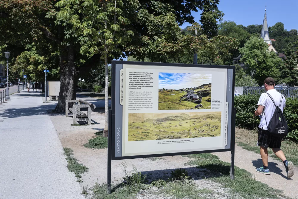 - 29.07.2026 - razstava na Krakovskem nasipu - Vlasto Kopač//FOTO: Jaka Gasar / Foto: Jaka Gasar
